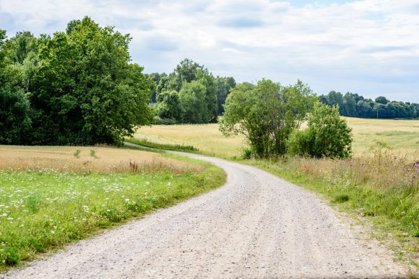 Stone Driveway Repair in Saint Petersburg