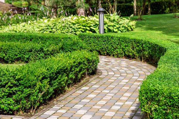 Paved Landscaping in Saint Petersburg