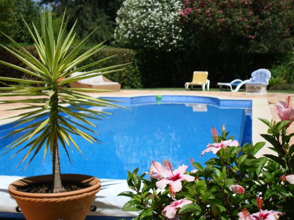 Pool Terrace Renovation in Saint Petersburg